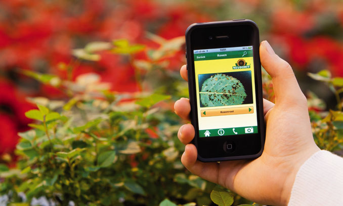 Aplicativo Para Descobrir Nome De Plantas Aplicativo Para Descobrir Nome De Plantas