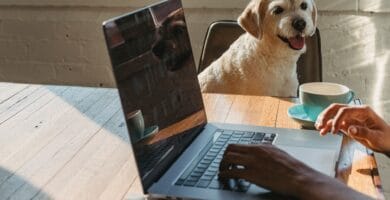 Recuperar Arquivos Deletados De Uma Pasta Específica